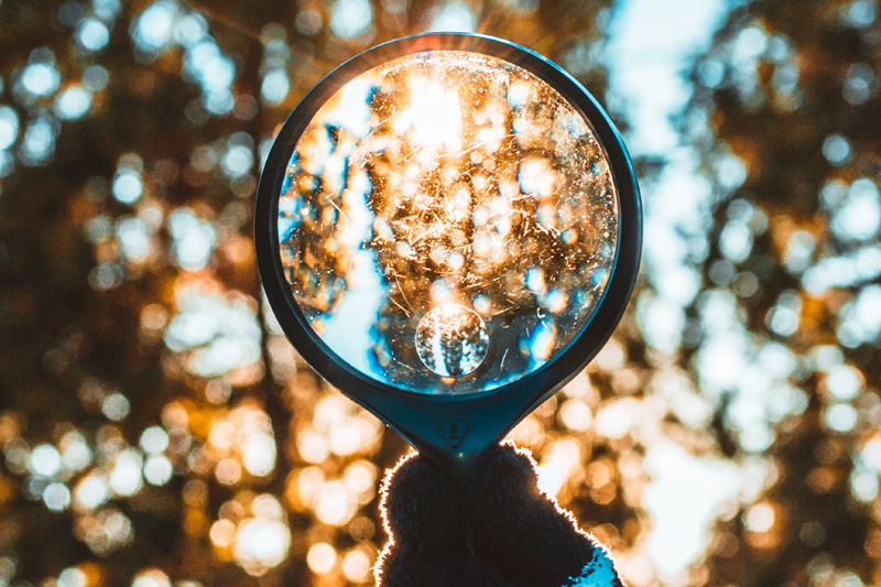 WHAT WE FOCUS ON IS WHAT WE GET